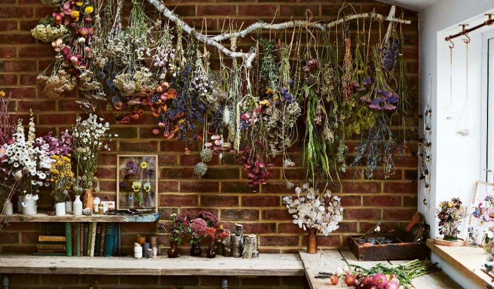 How To Dry Home Grown Blooms The Lifestyle Daily   Dried Flowers 2 